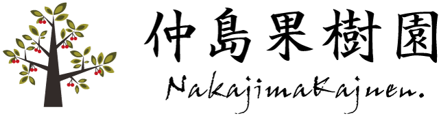 ʎ