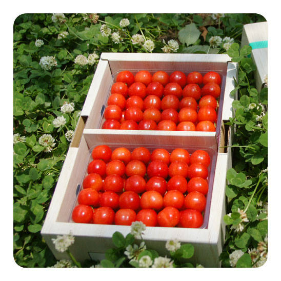 photo7_1
