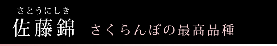 薼@